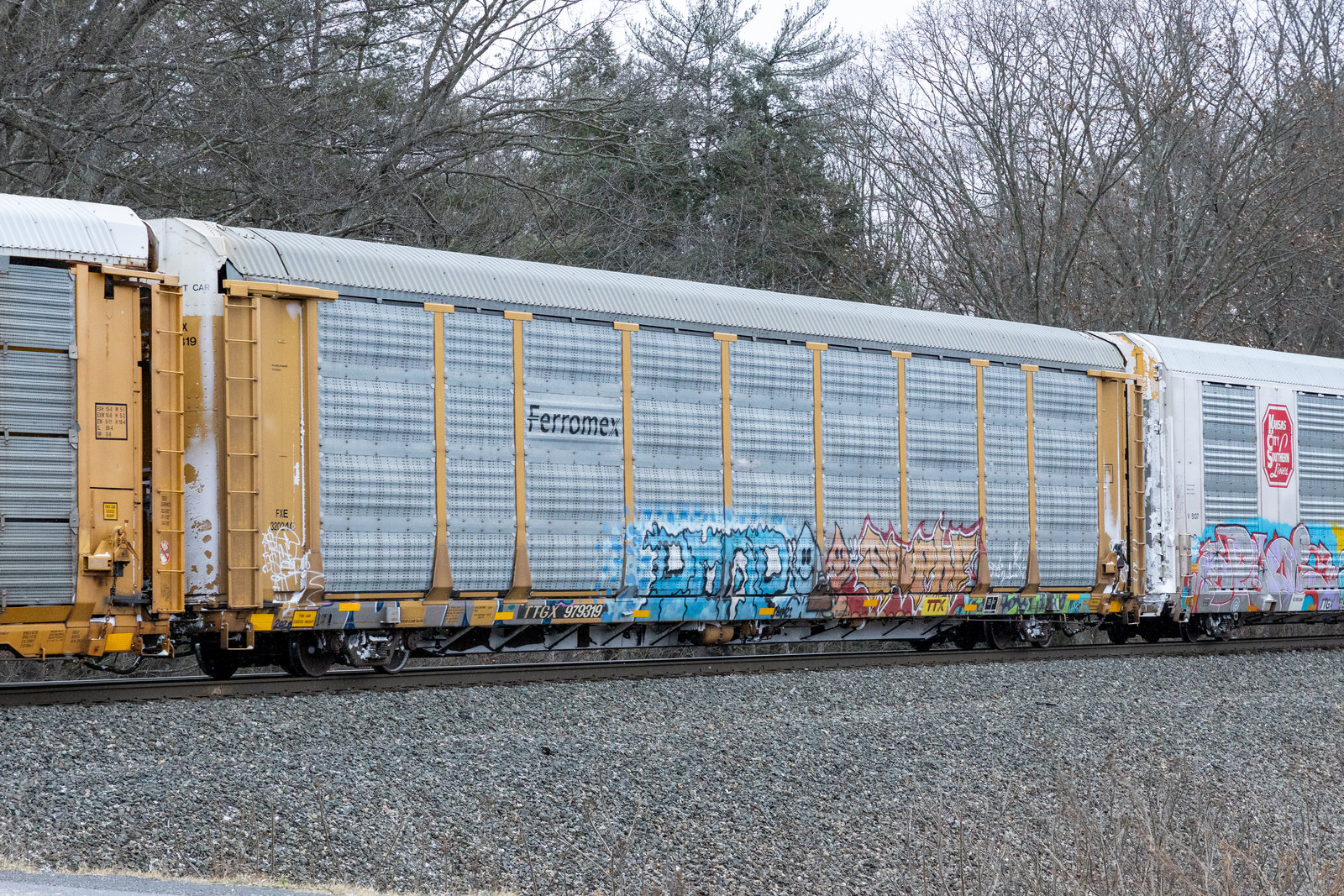 TTGX 979319