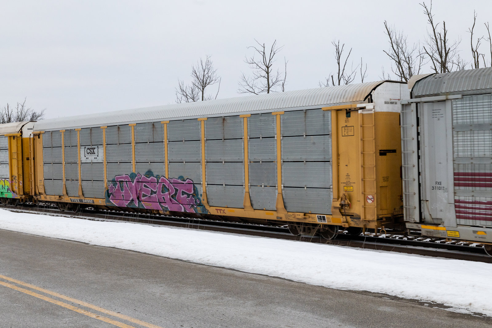 TTGX 941992