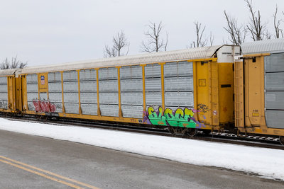 TTGX 973680