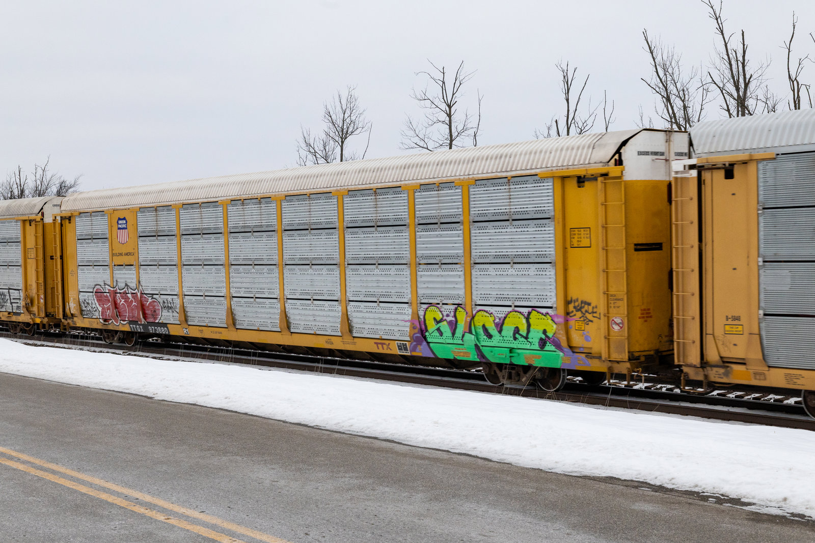 TTGX 973680