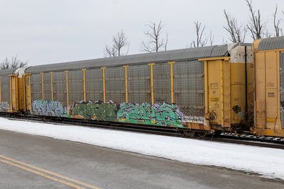 TTGX 994909