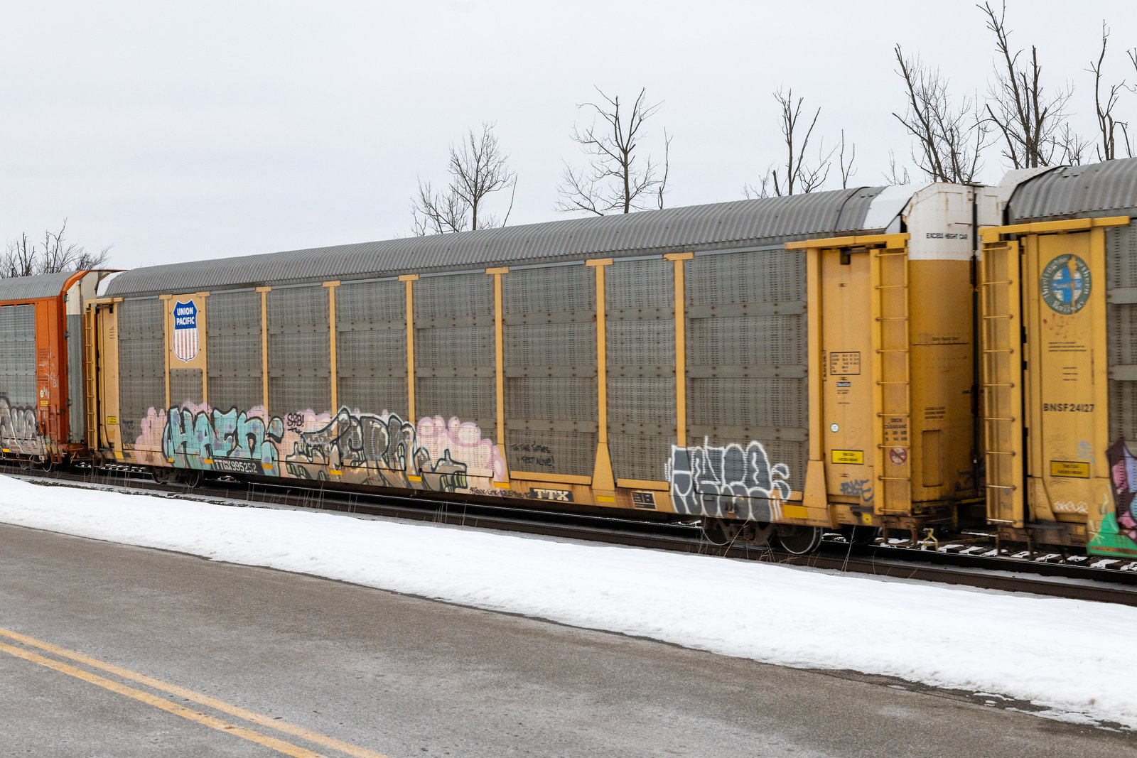 TTGX 995252
