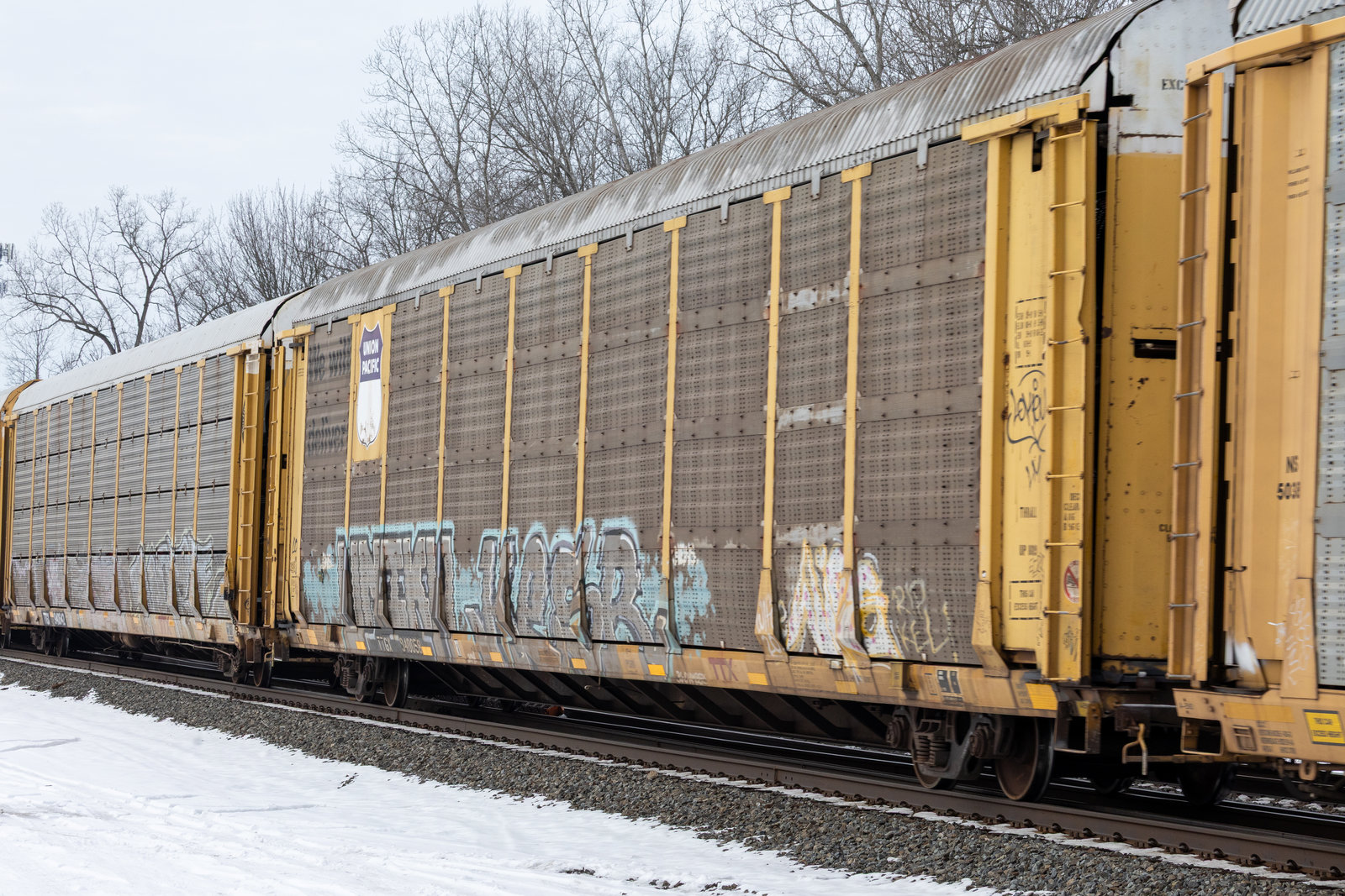 TTGX 940058