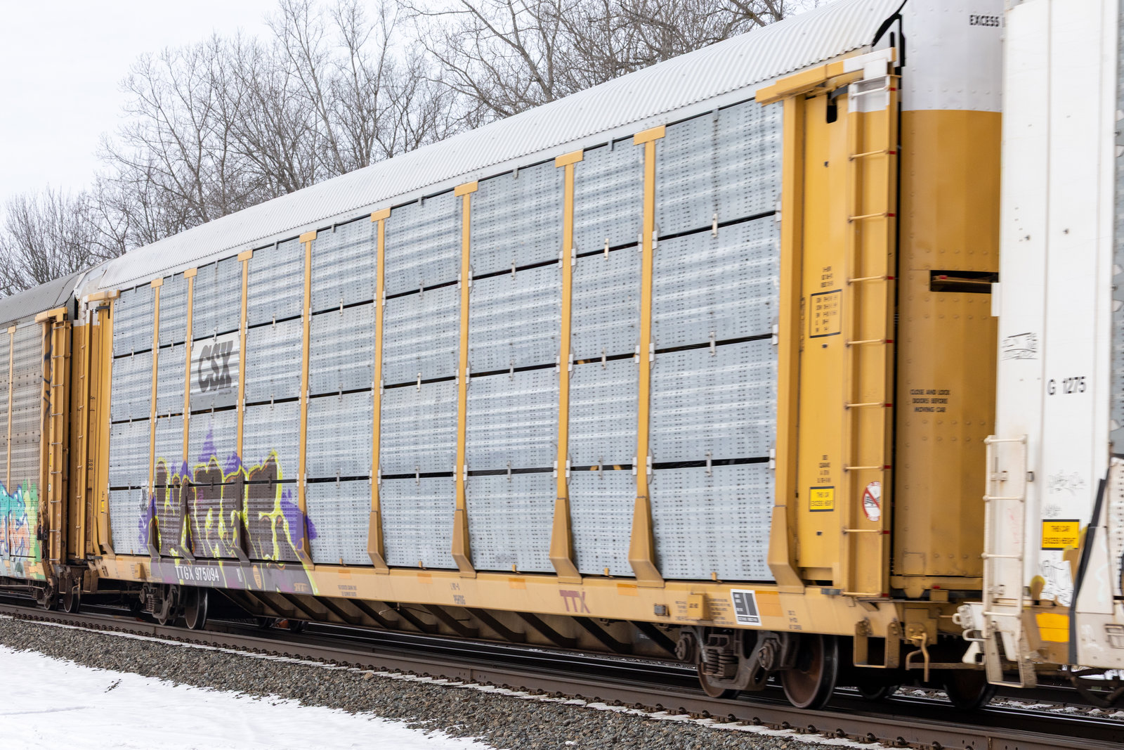 TTGX 975094