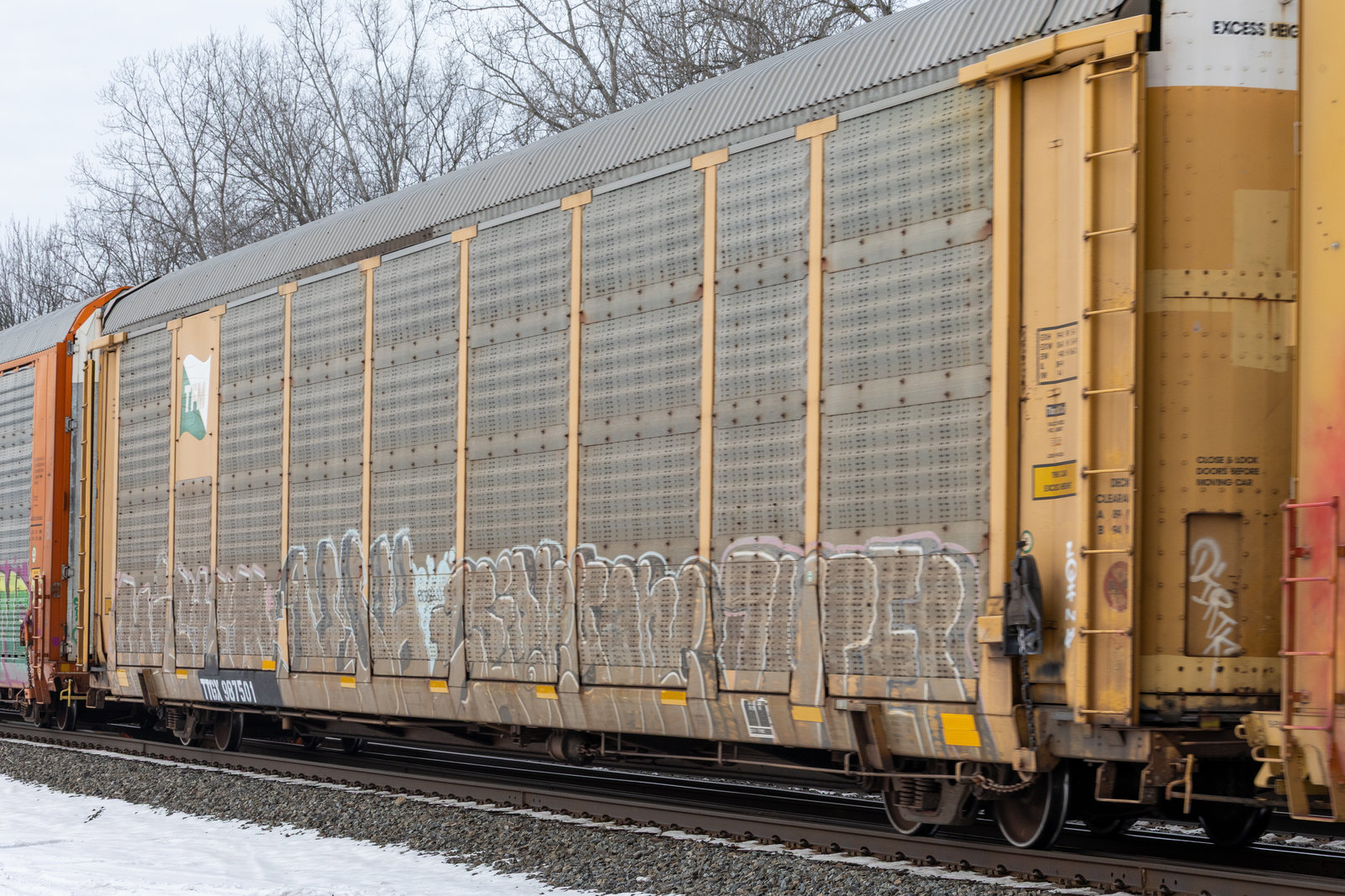 TTGX 987501
