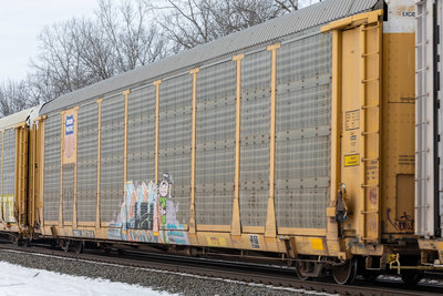 TTGX 987314