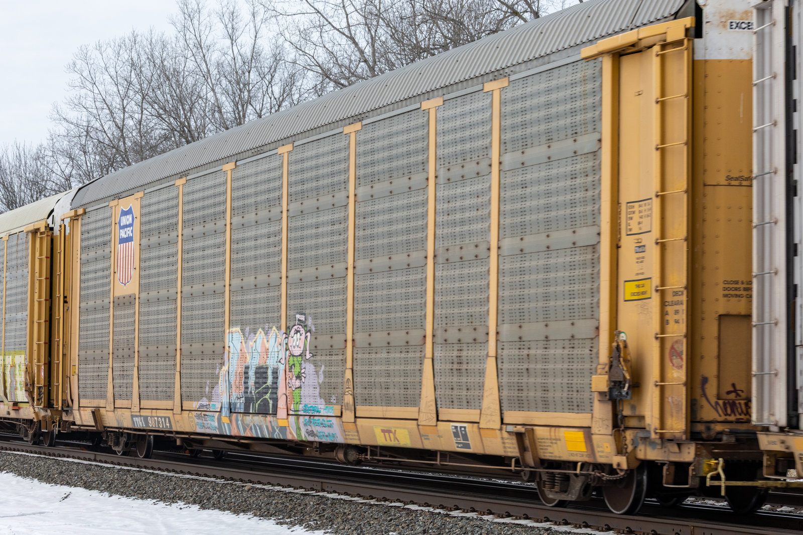 TTGX 987314