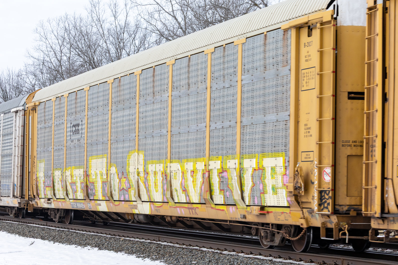 TTGX 990495