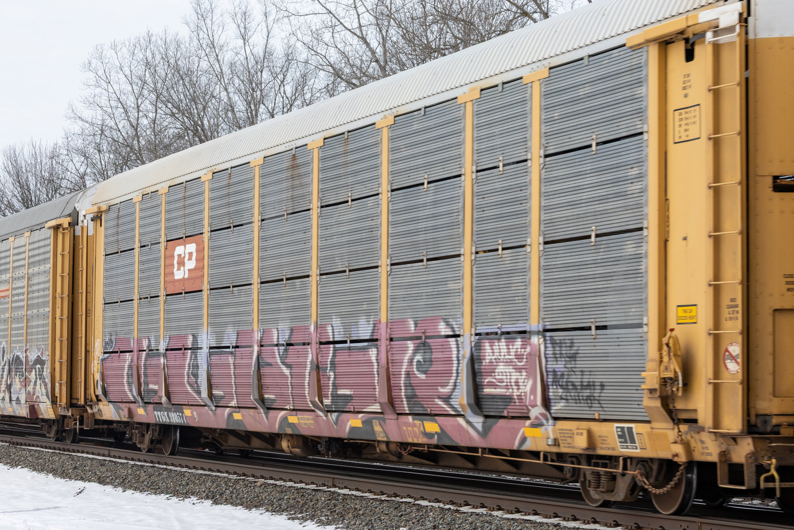 TTGX 980574