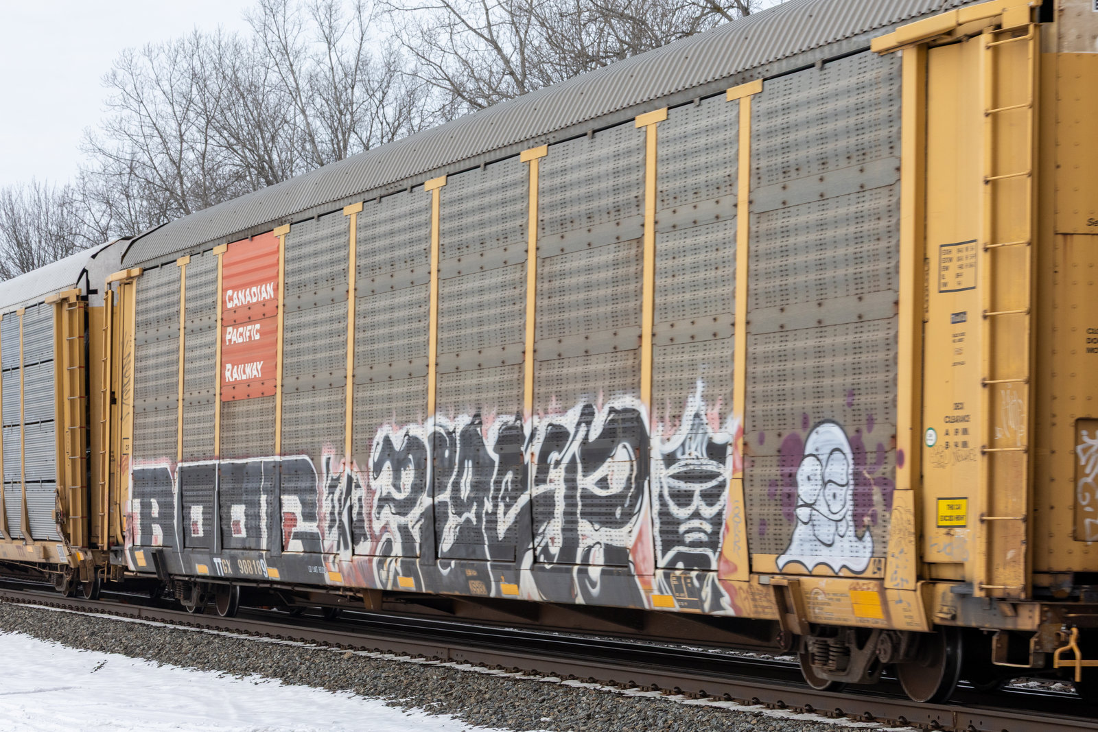 TTGX 988189
