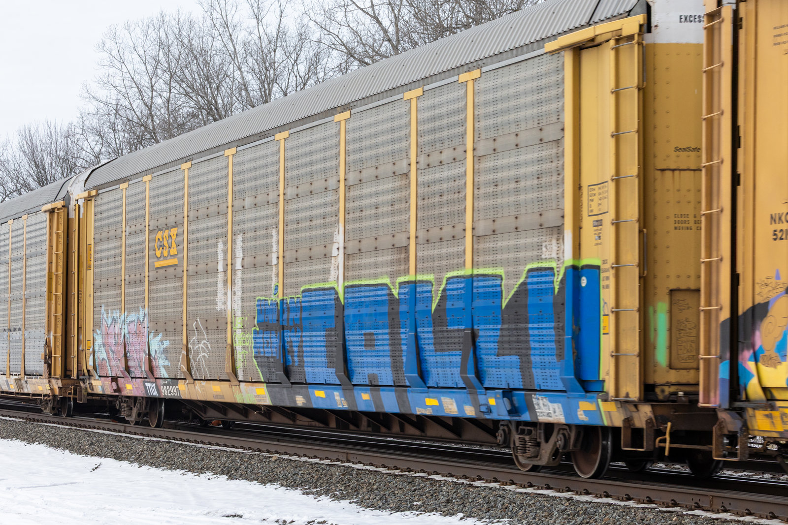 TTGX 982997