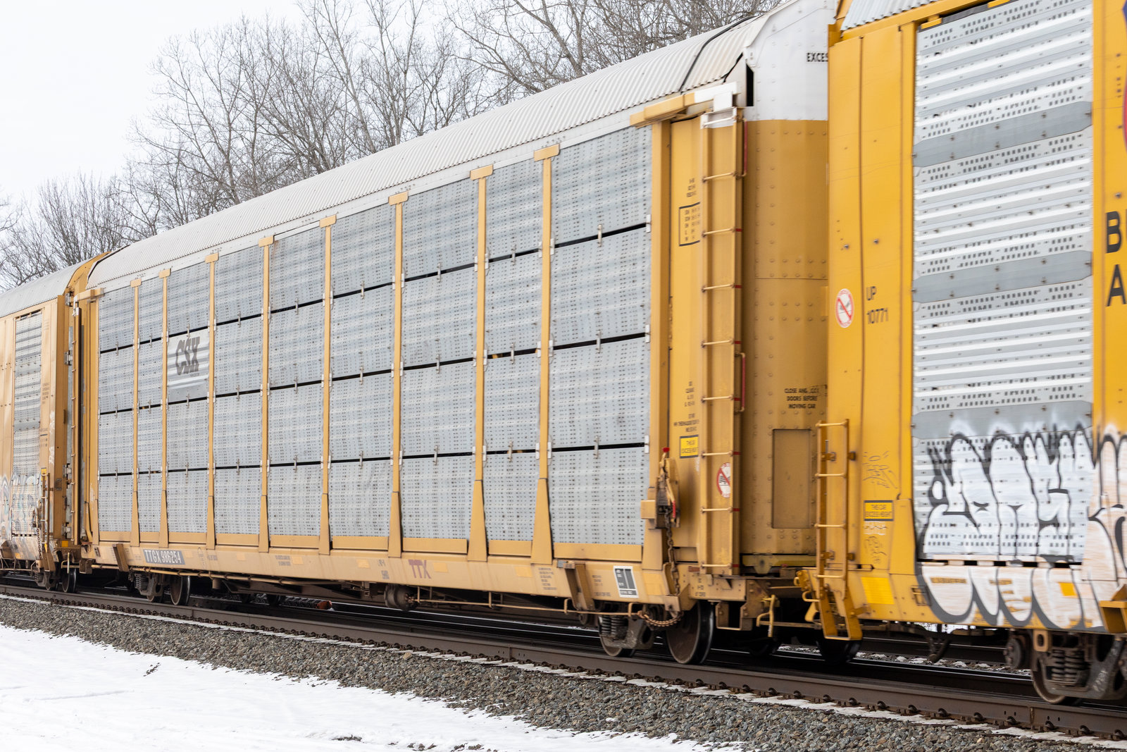 TTGX 986254