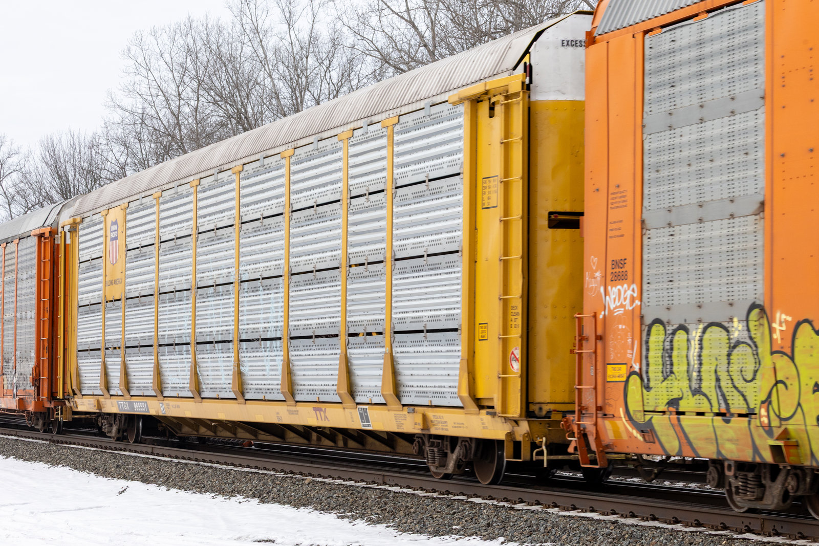 TTGX 965551