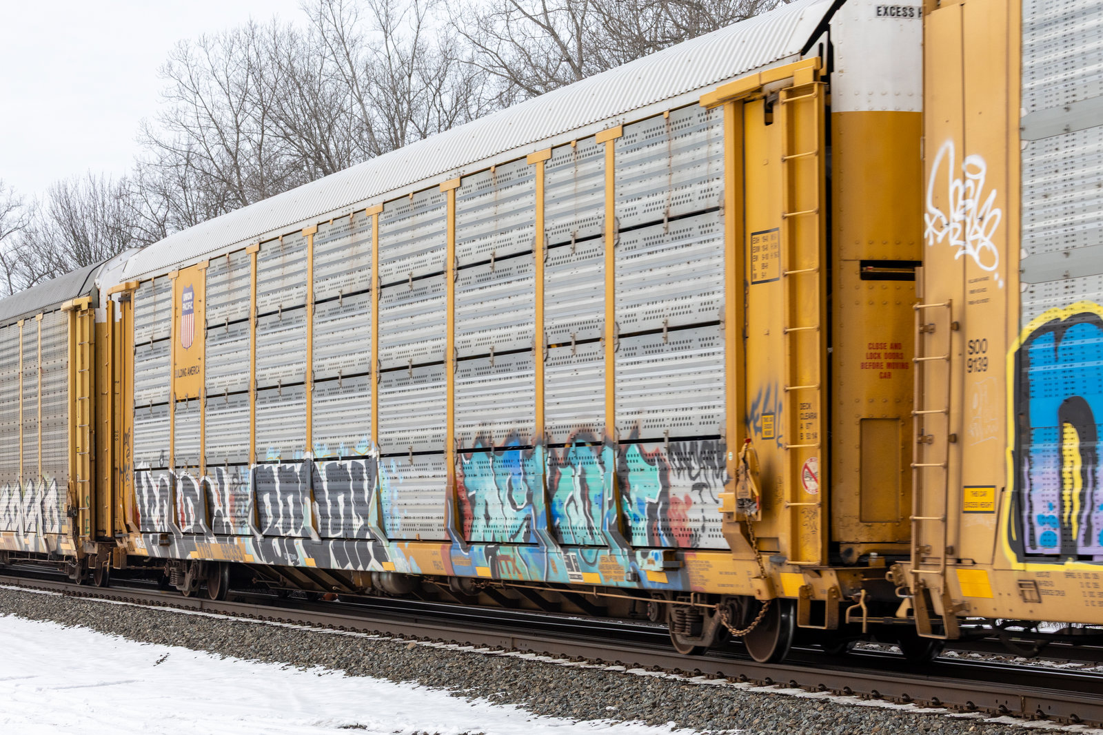 TTGX 991353