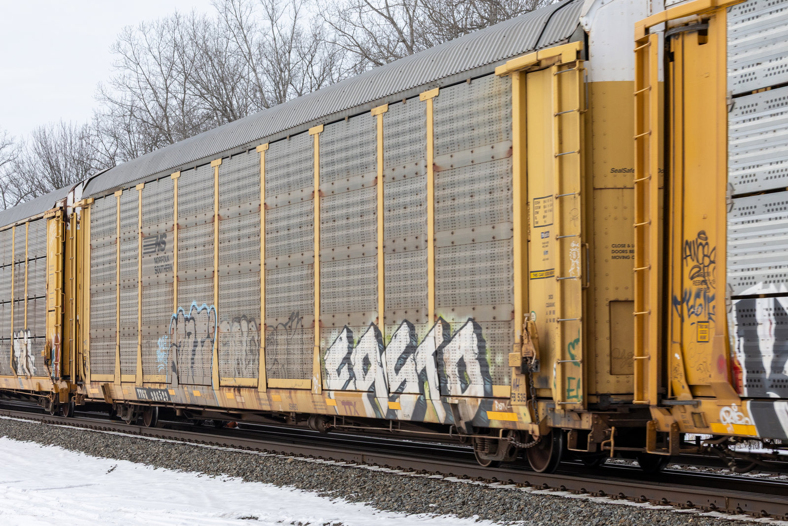 TTGX 986529