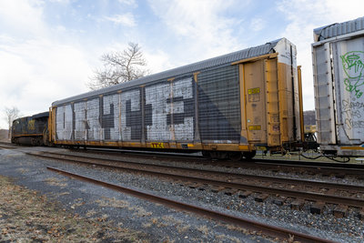 TTGX 994703
