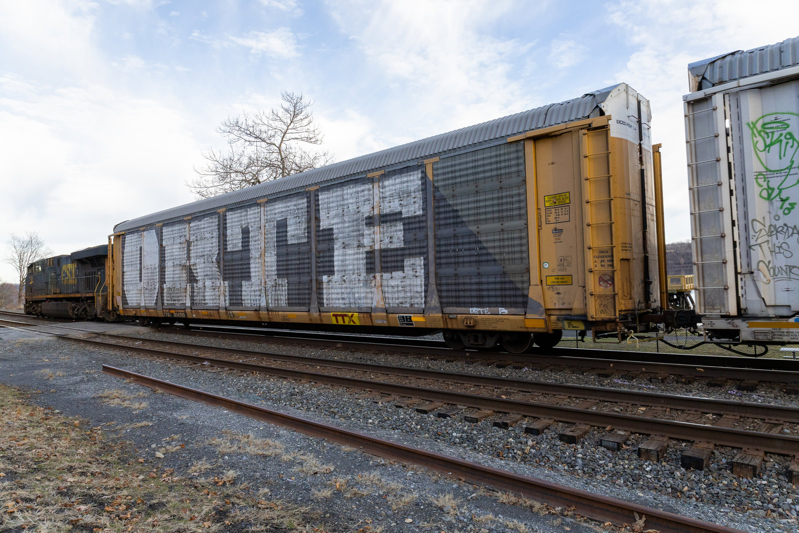 TTGX 994703