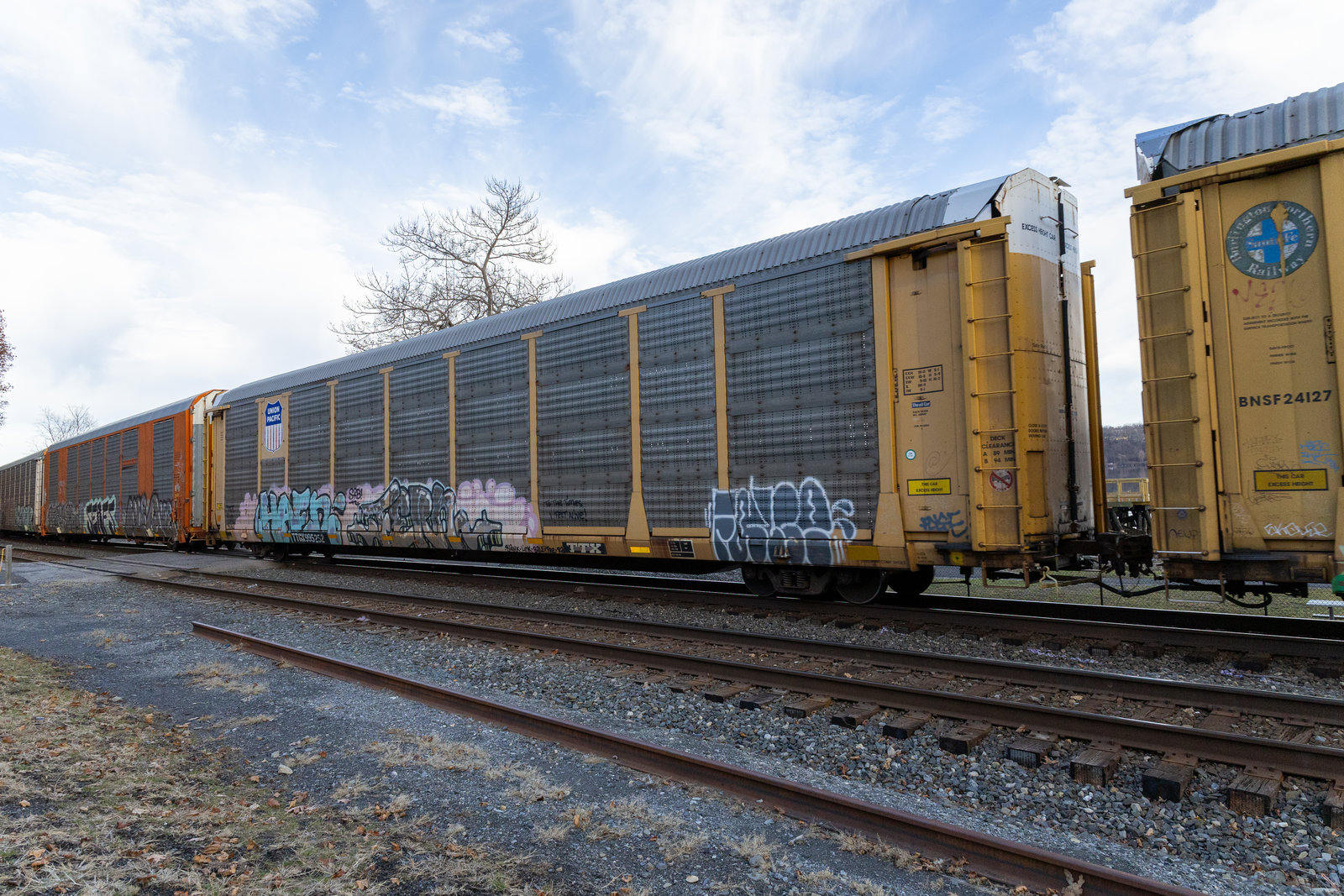 TTGX 995252