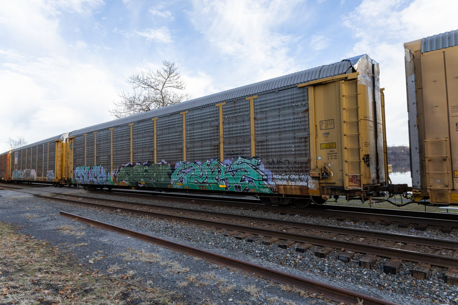 TTGX 994909