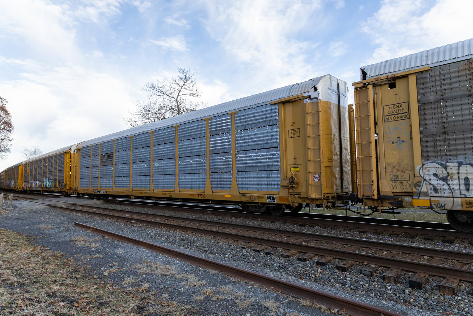 TTGX 994295