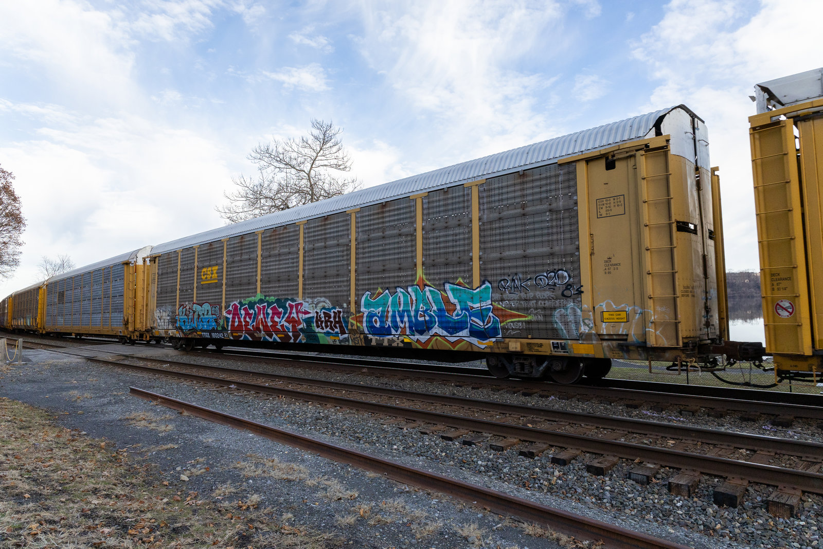 TTGX 160242