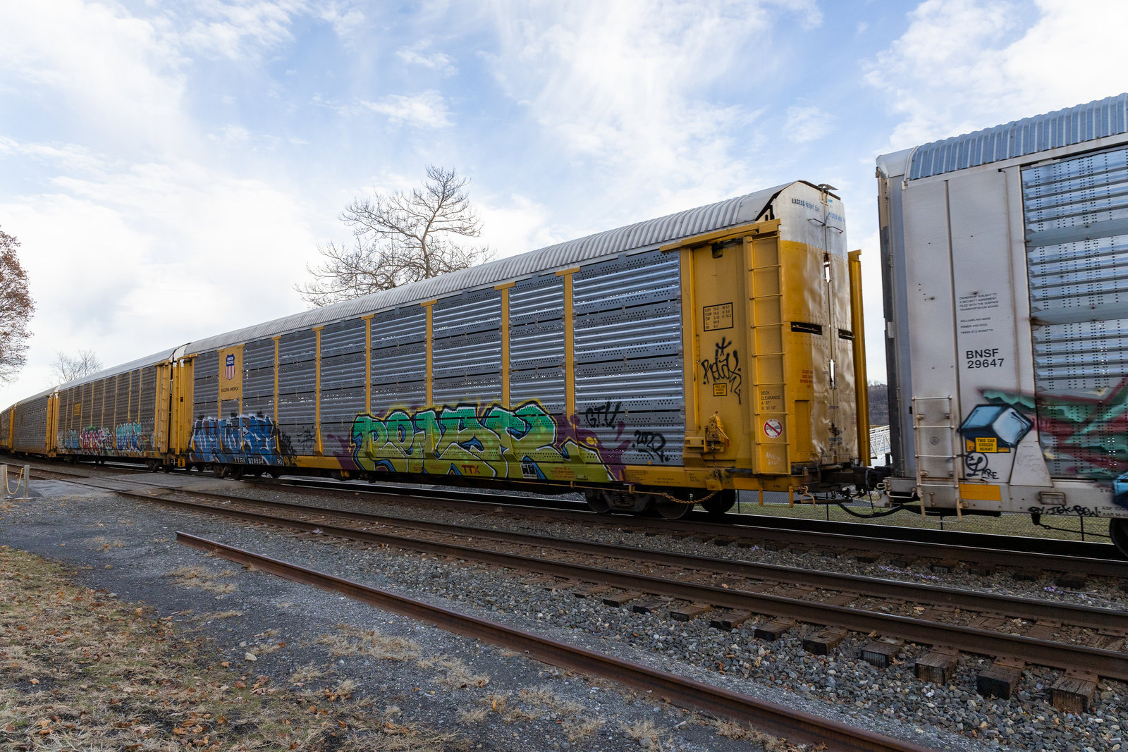 TTGX 979534