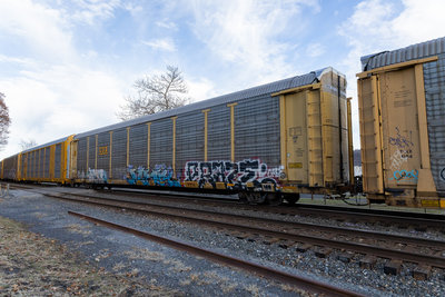 TTGX 973462