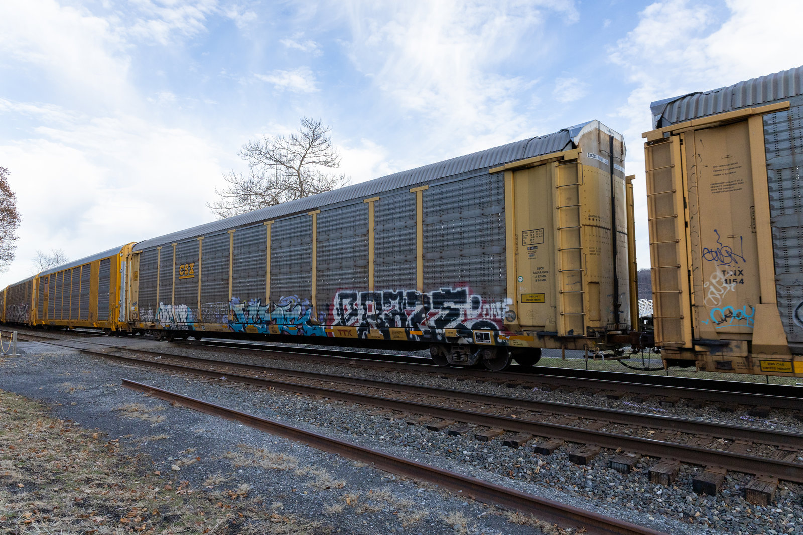 TTGX 973462