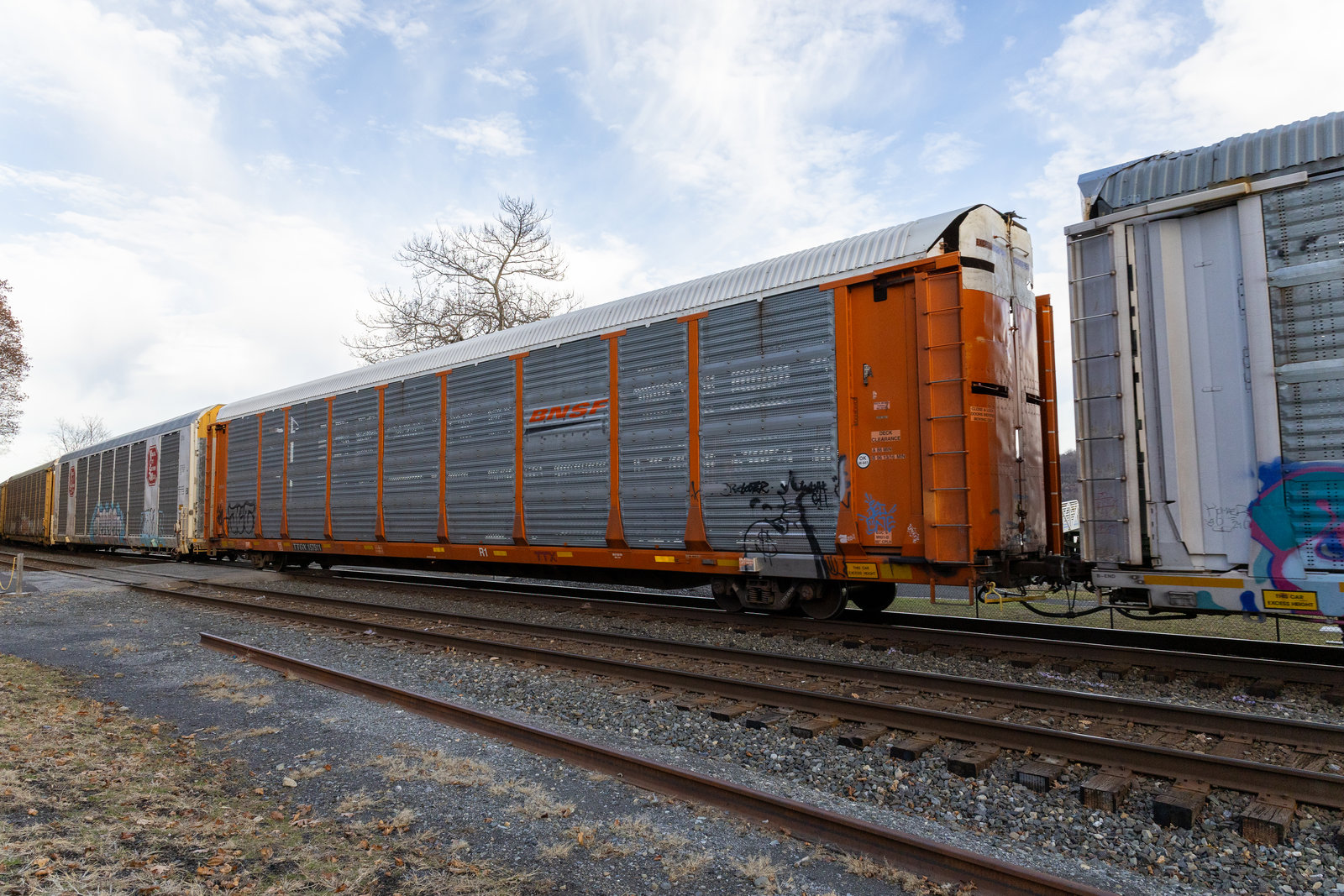 TTGX 157511