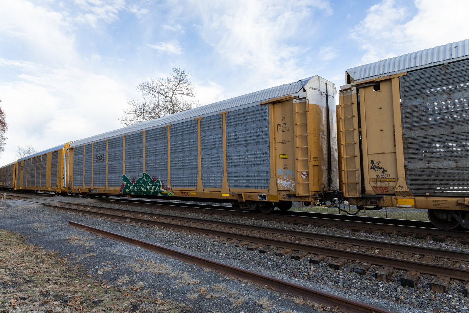 TTGX 985542