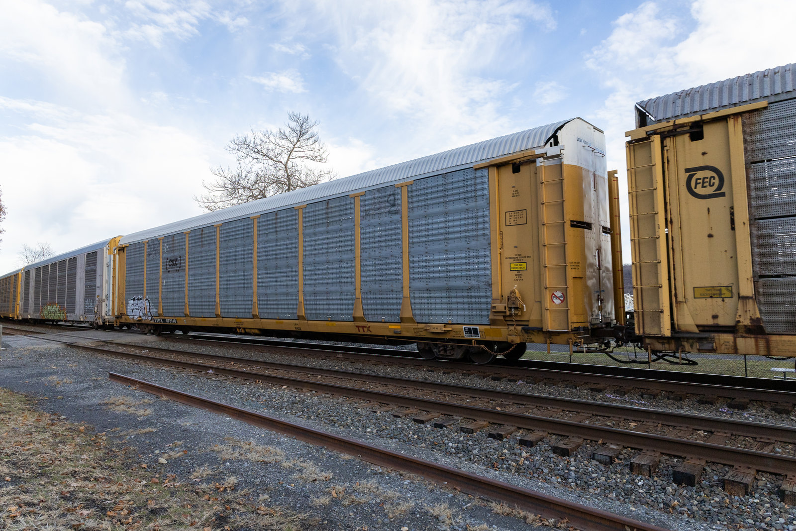 TTGX 973146