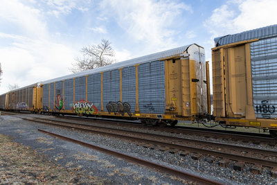 TTGX 160248