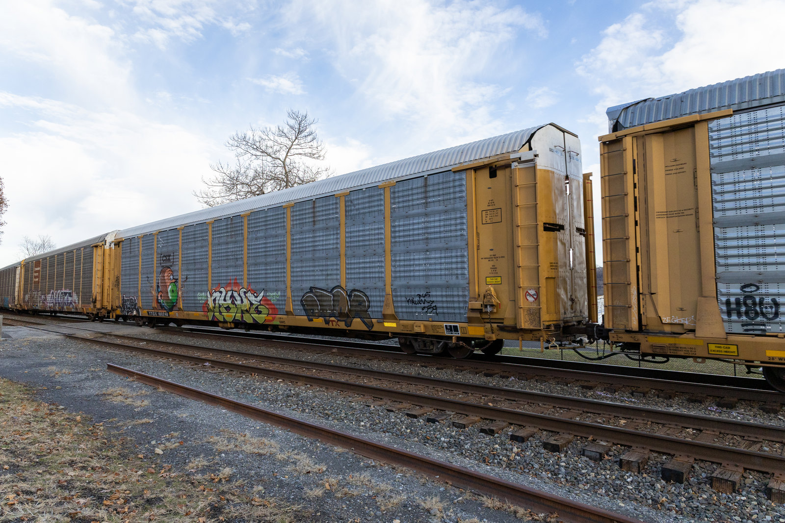 TTGX 160248