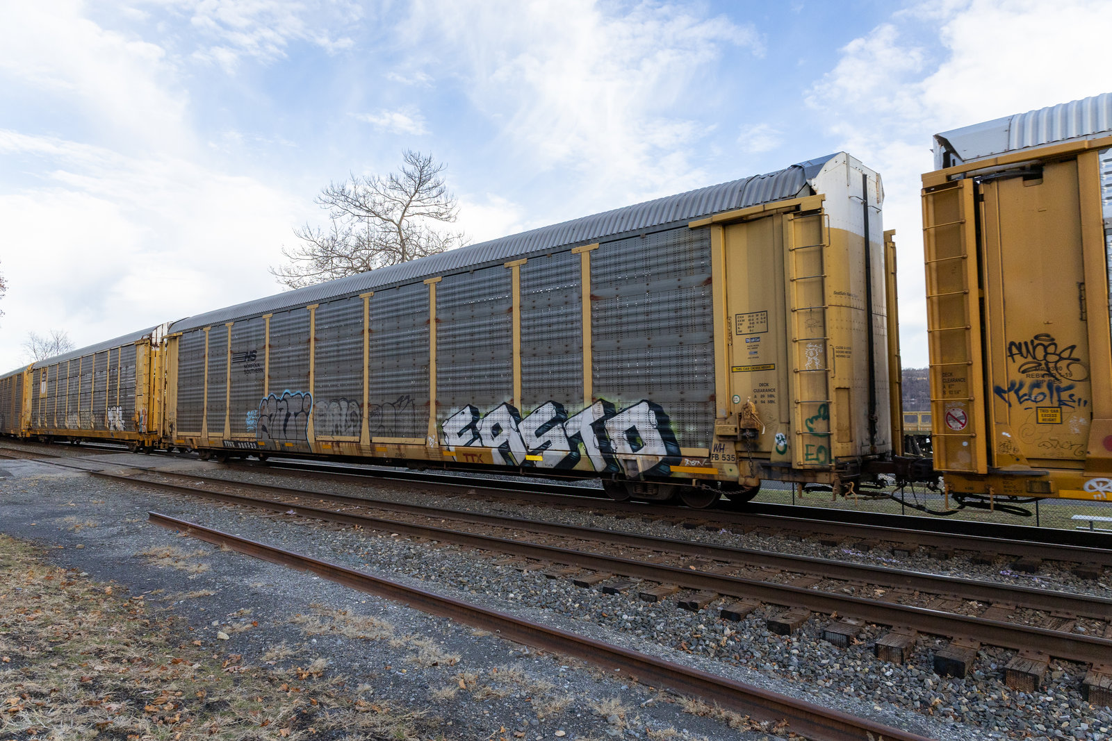 TTGX 986529