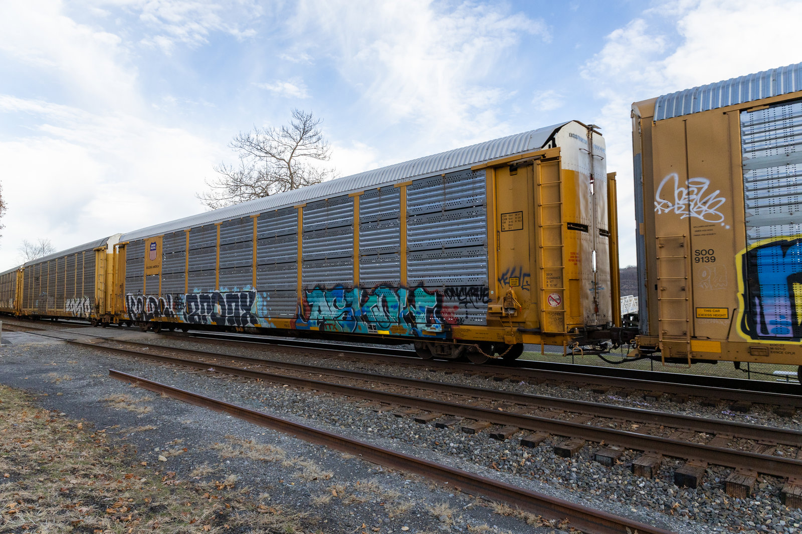 TTGX 991353