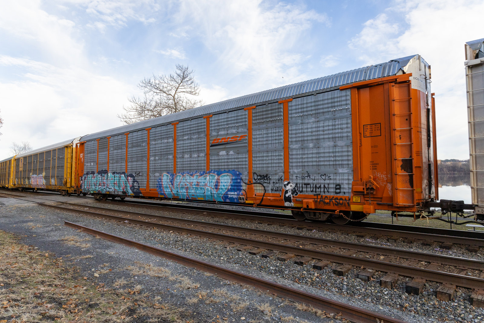 TTGX 953086
