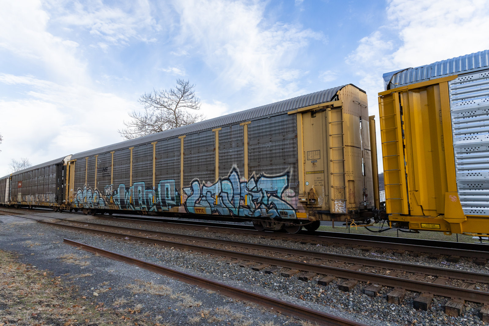 TTGX 992665