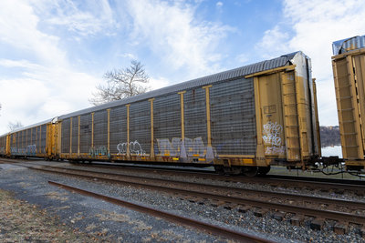 TTGX 985621