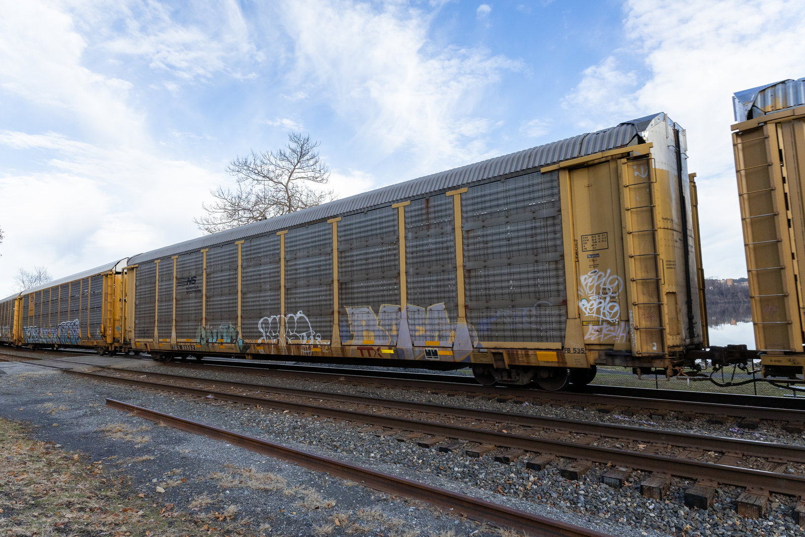 TTGX 985621