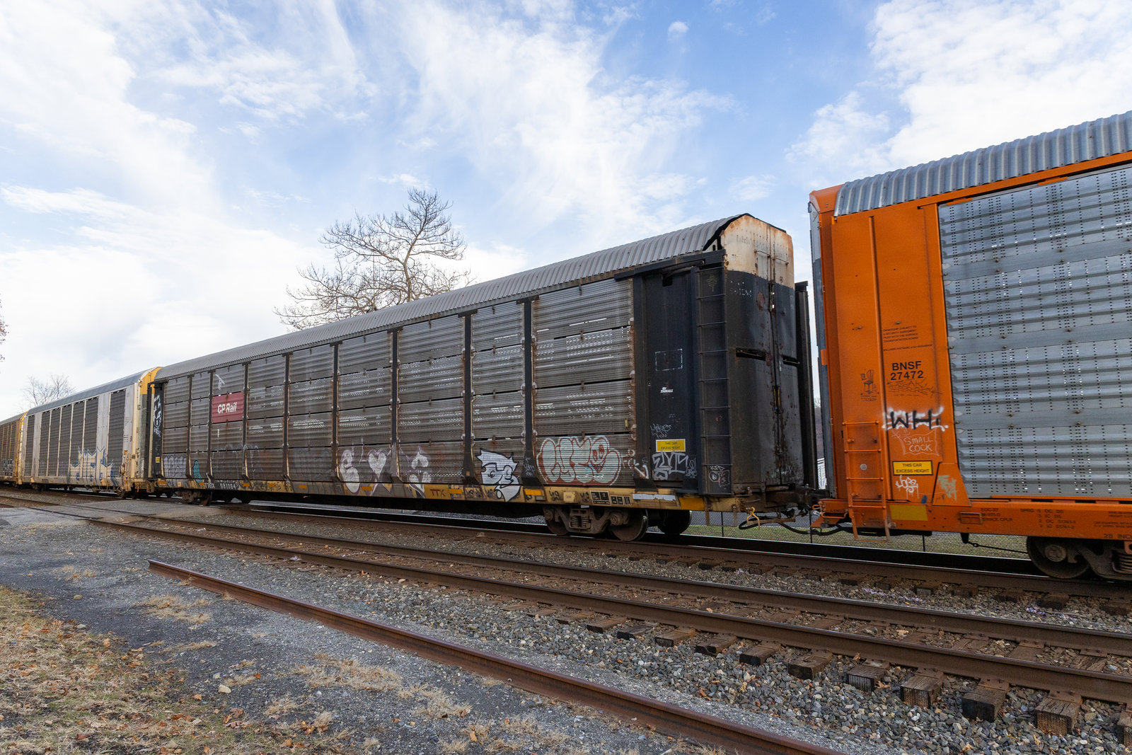 TTGX 981084