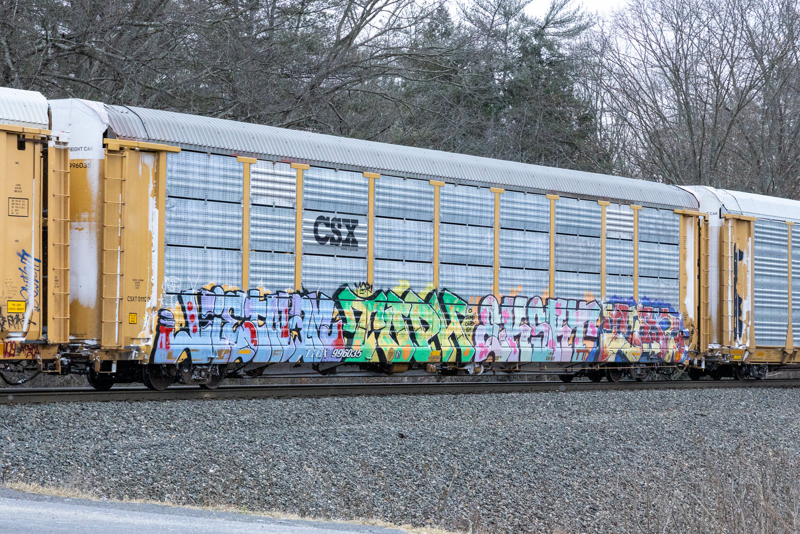 TTGX 996035