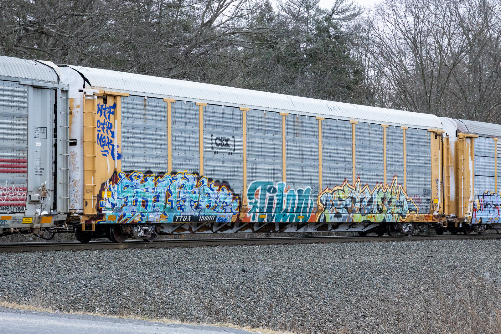 TTGX 158011