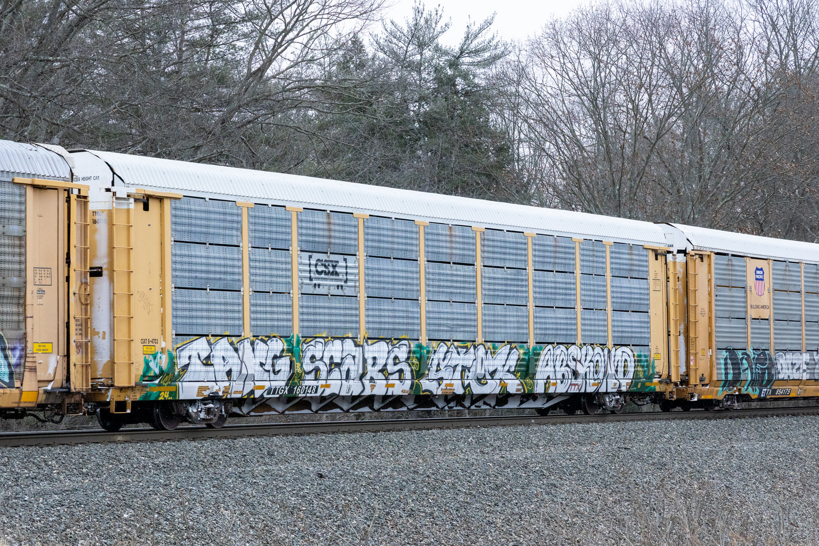 TTGX 160148
