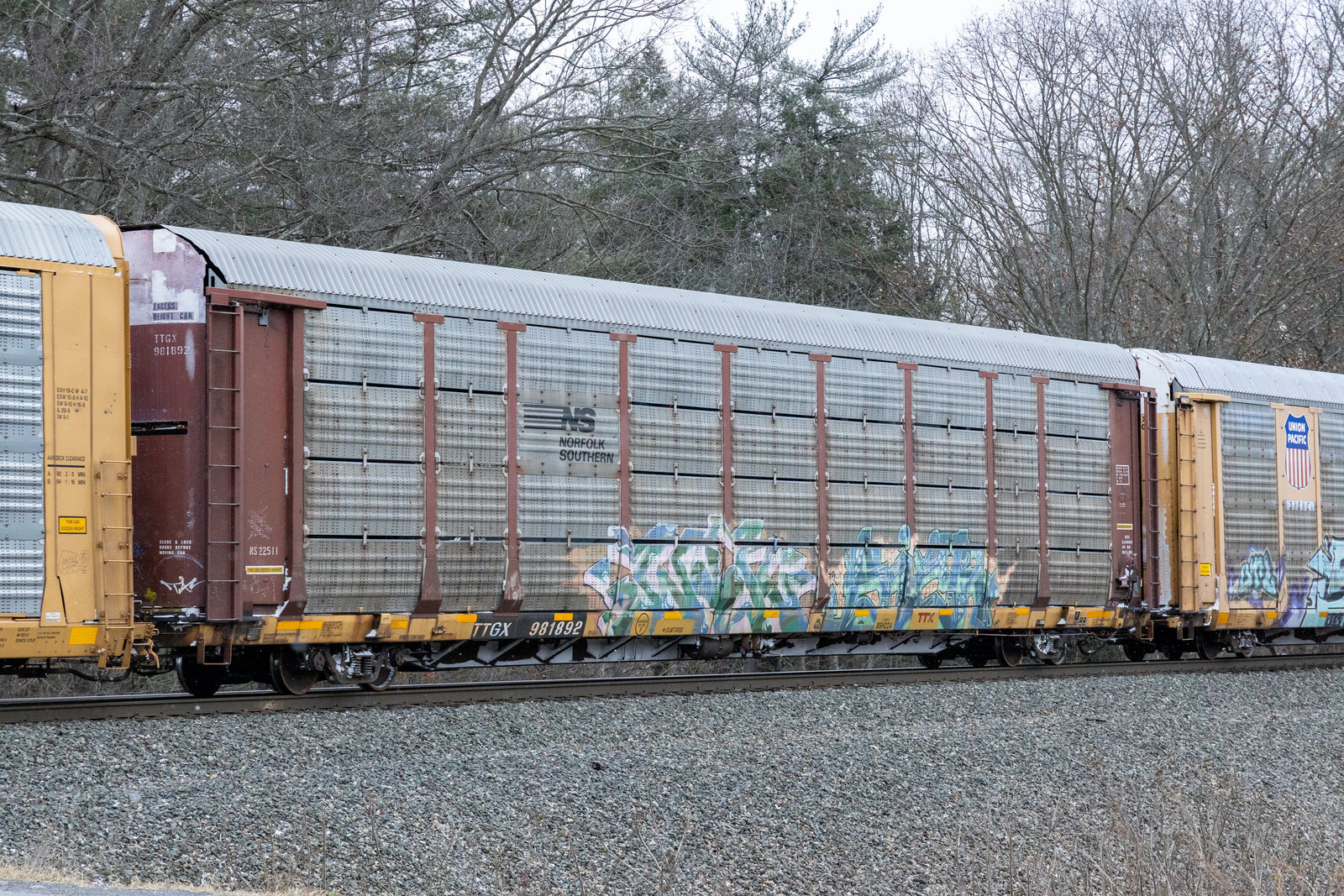 TTGX 981892