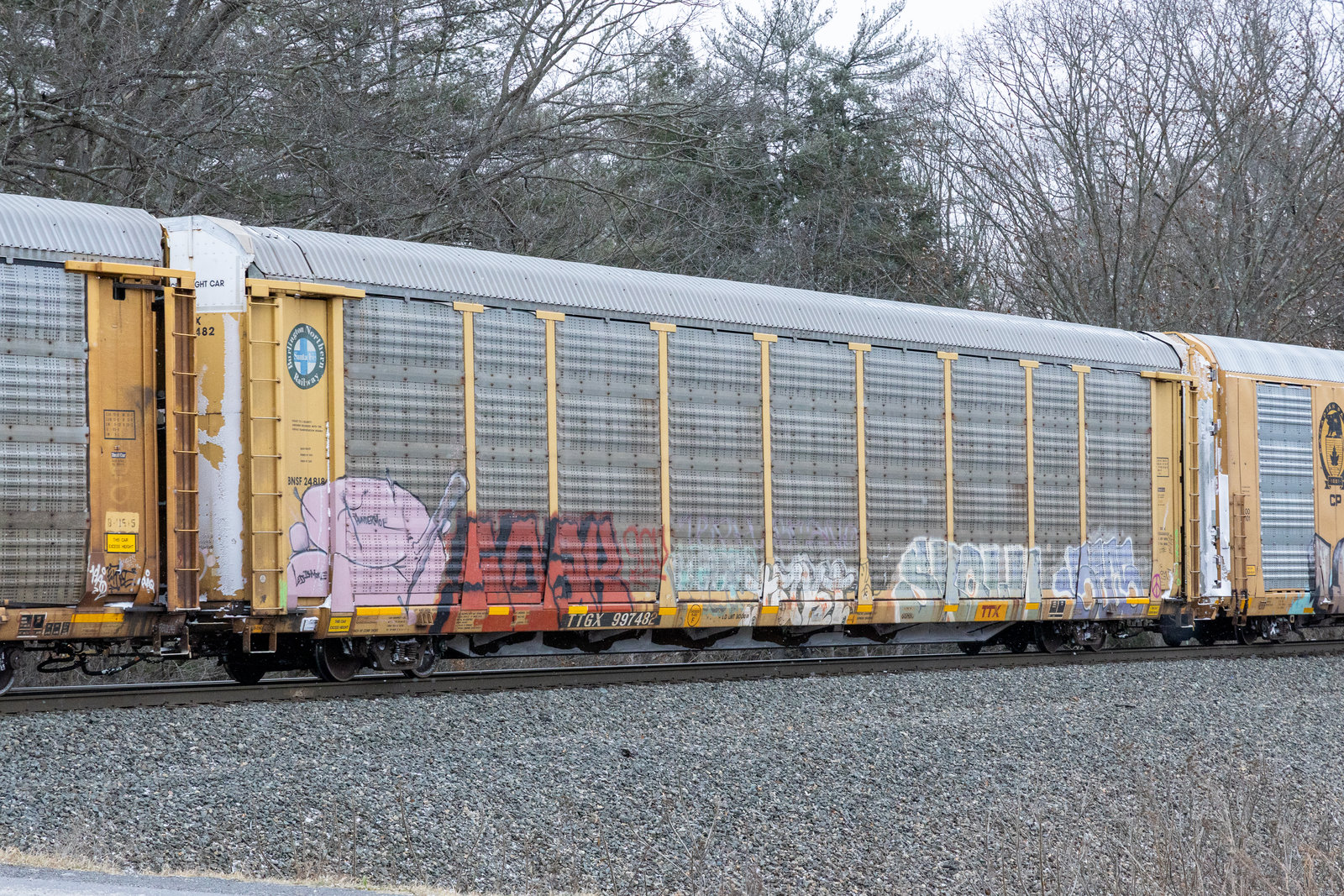TTGX 997482