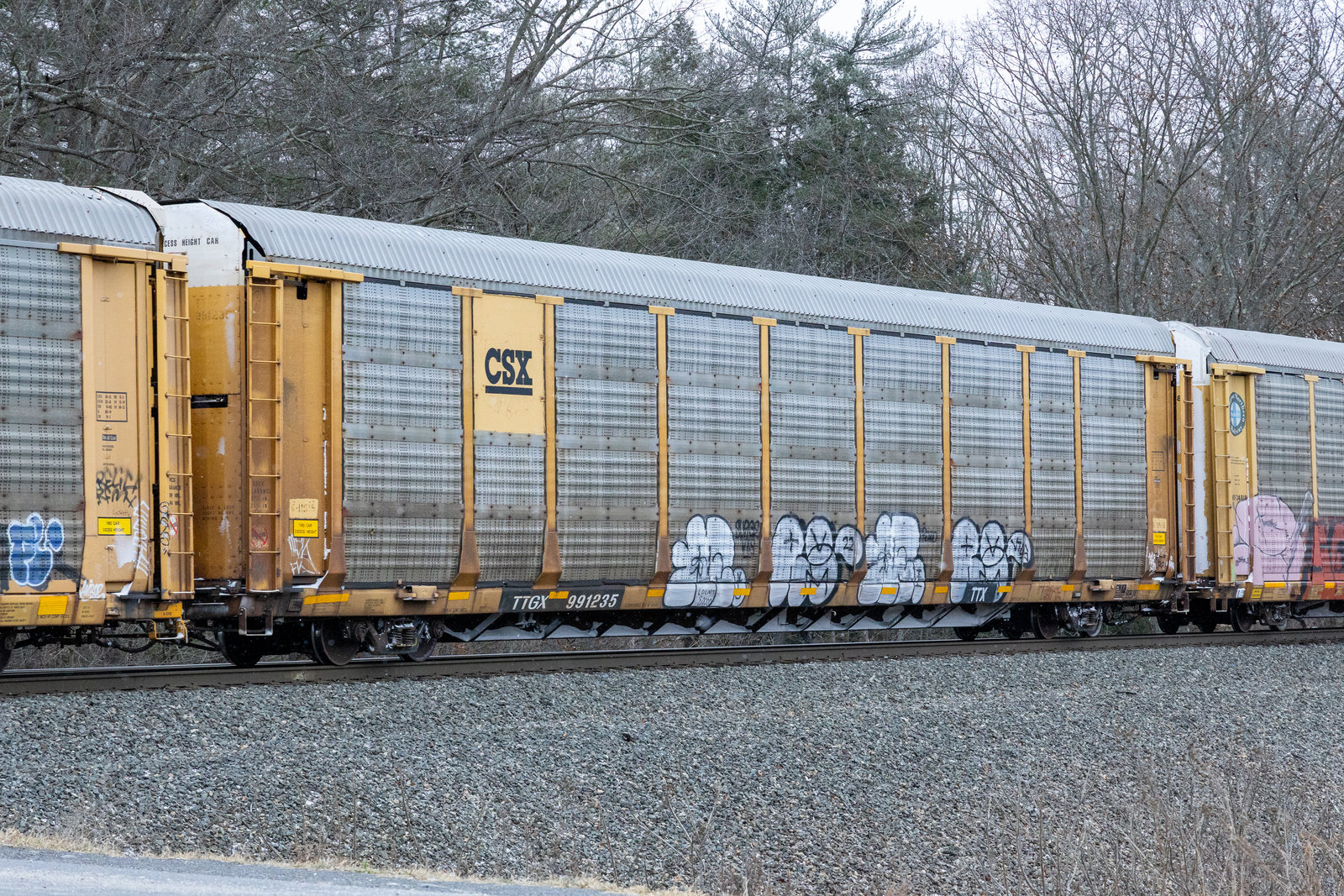 TTGX 991235