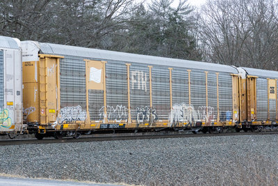 TTGX 987524