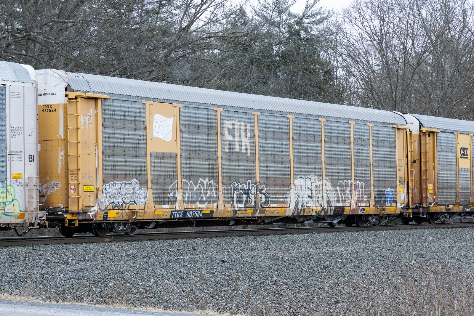 TTGX 987524