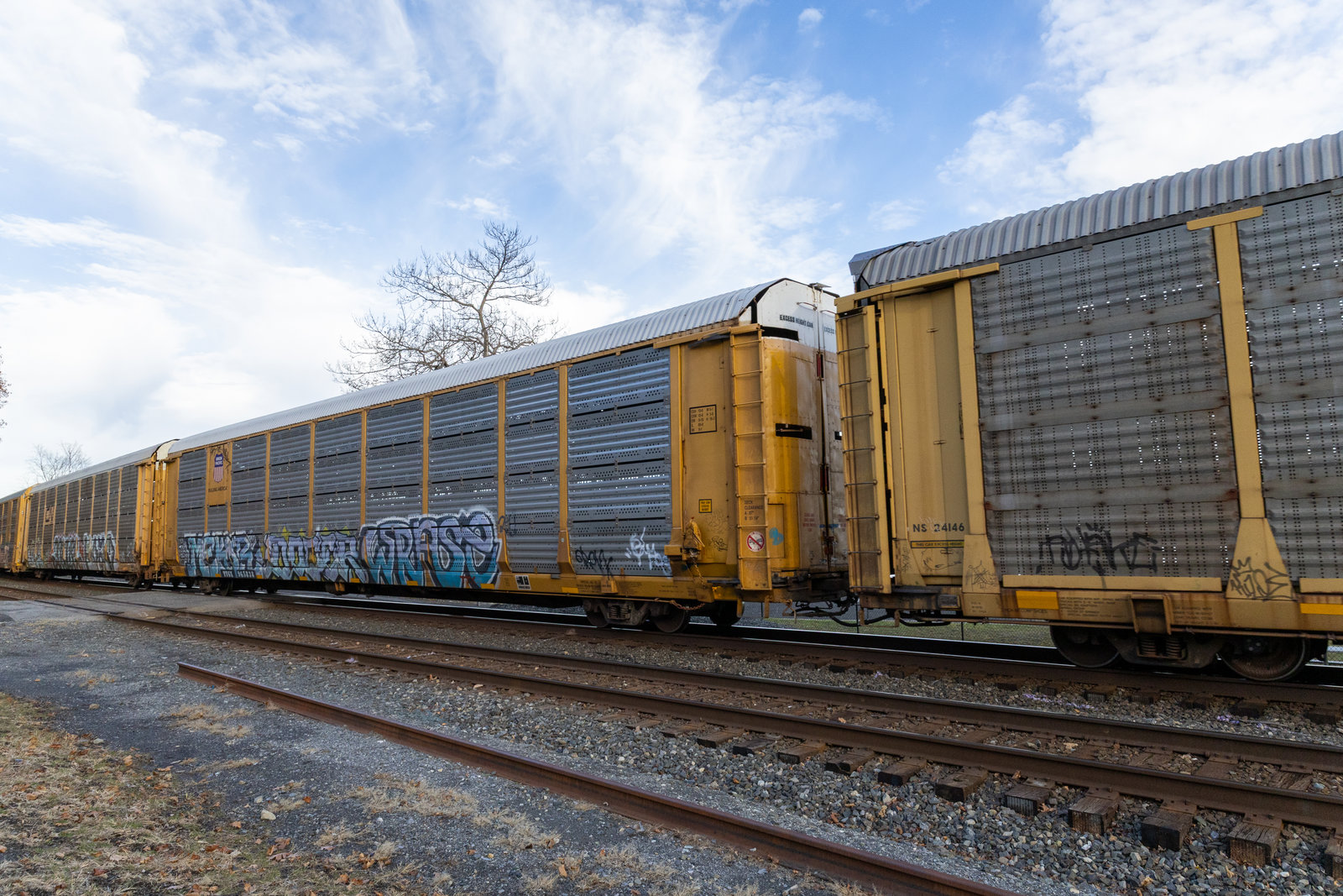 TTGX 965838