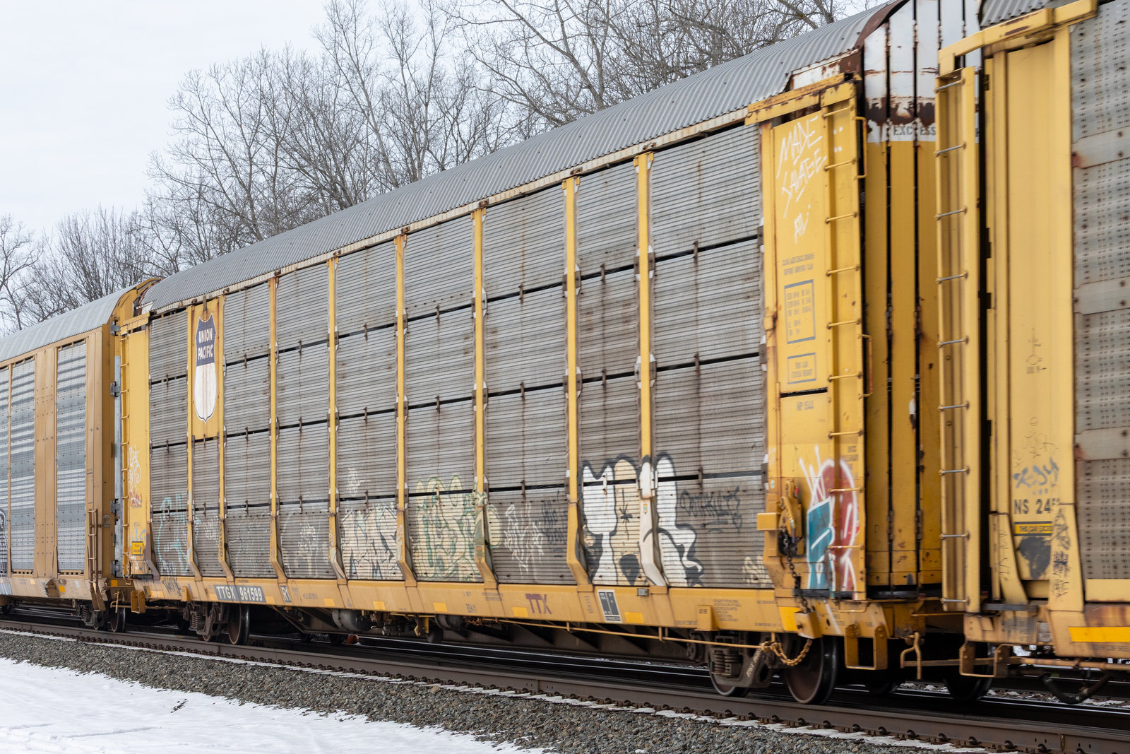 TTGX 961599
